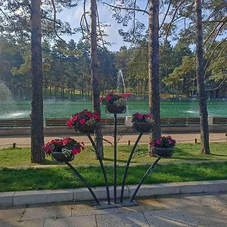 Pahulja3 * Zlatibor