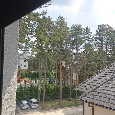 Pahulja3 Zlatibor