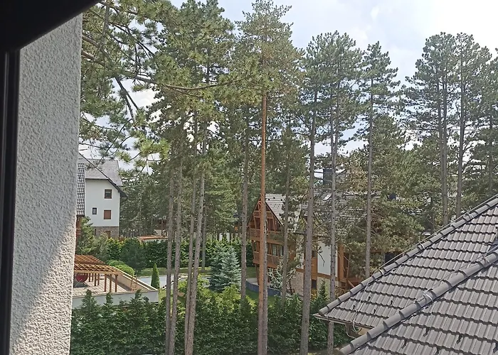 Pahulja3 즐라티보